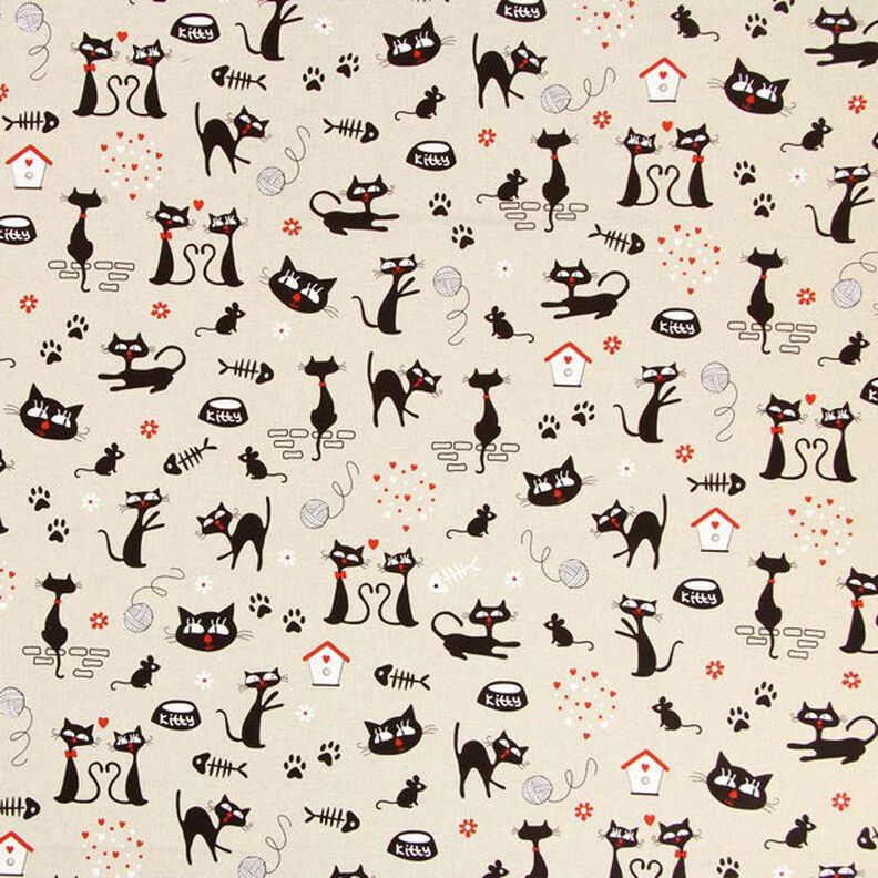 Kitty Kat, image number 1