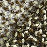 Tissu en dentelle à vrilles de fleurs et paillettes – noir/olive,  thumbnail number 4
