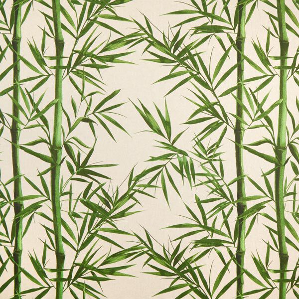 Semi-panama Aspect lin Feuilles – nature, image number 1
