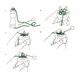 Tricotin Pascal,  thumbnail number 2
