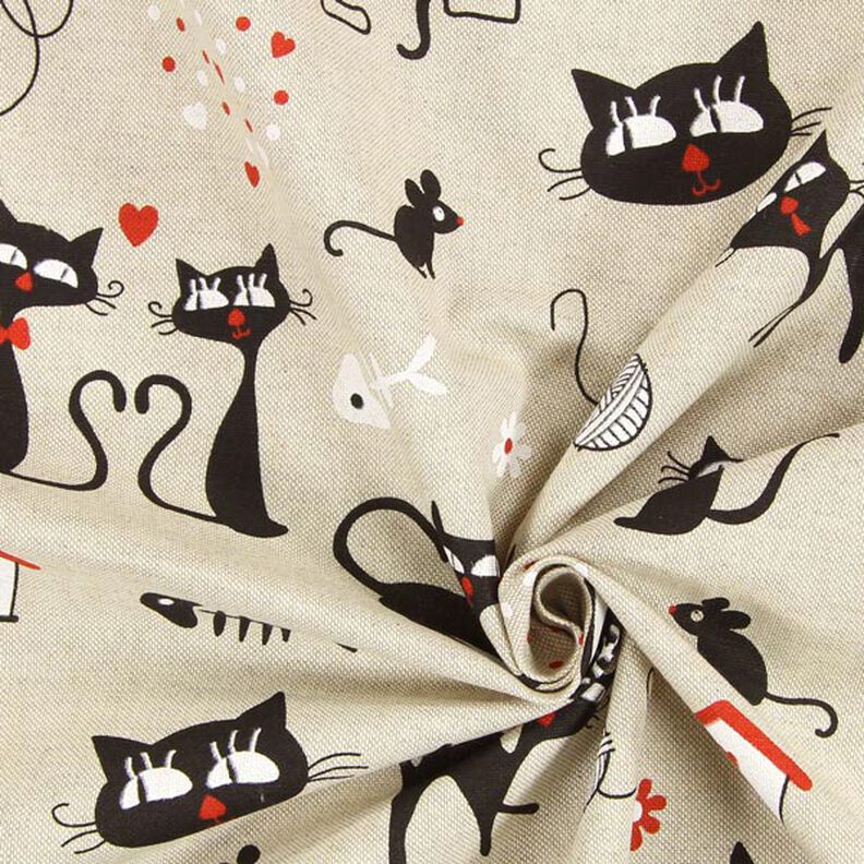 Kitty Kat, image number 2