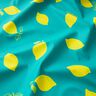 Tissu pour veste de pluie Citrons – menthe poivrée/jaune citron,  thumbnail number 3