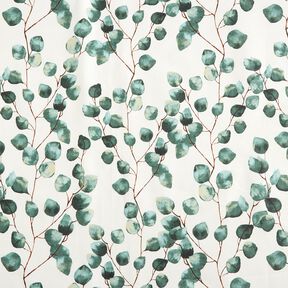 Coton enduit Eucalyptus – ivoire, 