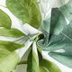 Tissu décoratif Toile grandes feuilles de monstera – blanc/vert herbe,  thumbnail number 3