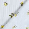 Tissu en coton Citrons et rayures – écru/taupe clair,  thumbnail number 4