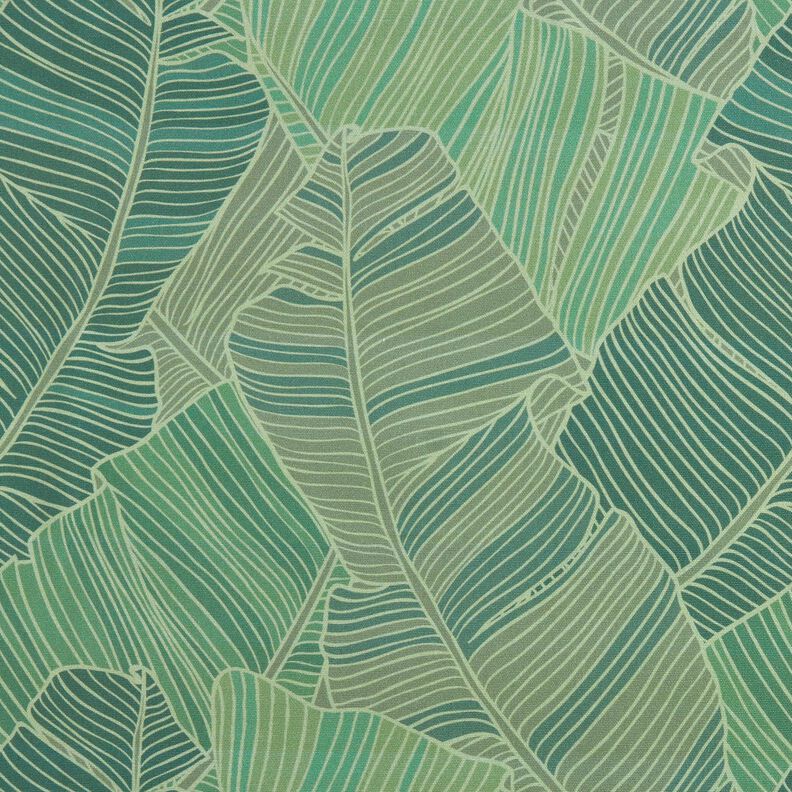 Tissu d’extérieur Canvas lignes de feuilles – vert,  image number 1