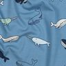 gris bleu