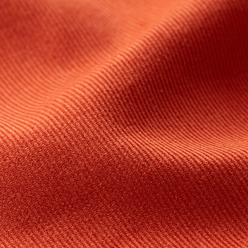 Velours milleraies Uni – terre cuite, image number 3
