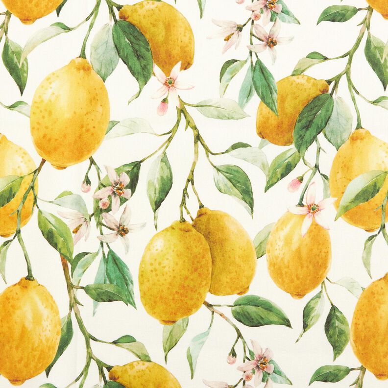 Tissu d’extérieur Canvas Citrons – ivoire/jaune citron,  image number 1