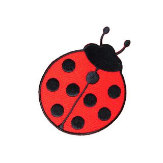 Application – Coccinelle | Kleiber, 