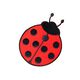 Application – Coccinelle | Kleiber,  thumbnail number 1