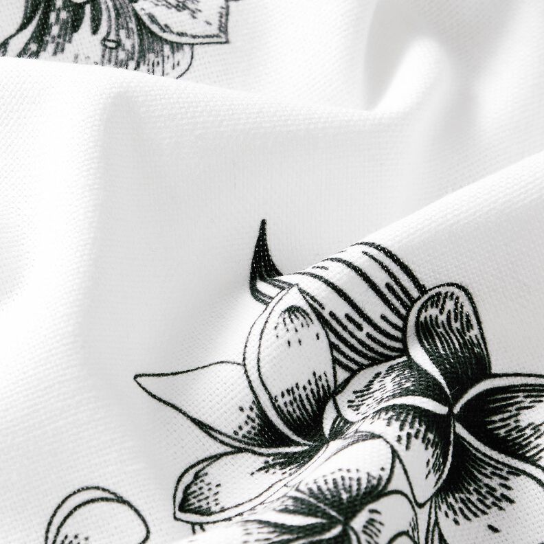 Tissu de décoration Semi-panama Fleurs pittoresques – blanc/noir, image number 2