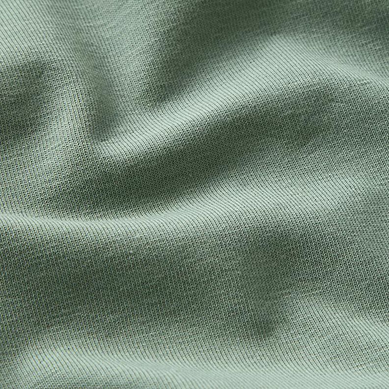 GOTS Jersey coton | Tula – roseau,  image number 2