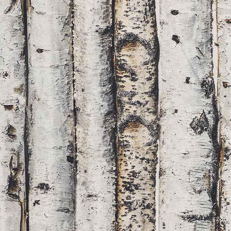 Tissu de décoration Semi-panama troncs de bouleaux – gris clair,  image number 6