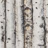 Tissu de décoration Semi-panama troncs de bouleaux – gris clair,  thumbnail number 6