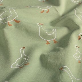 Jersey coton Famille d'oies – roseau, 