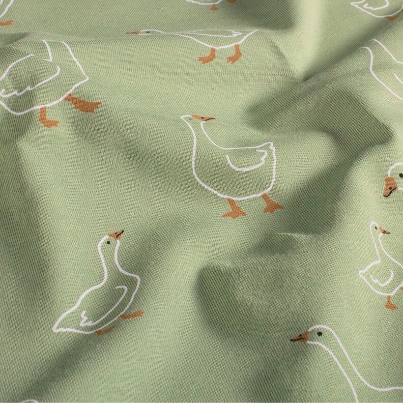 Jersey coton Famille d'oies – roseau,  image number 2