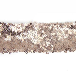 Galon pailleté sur tulle 2, 