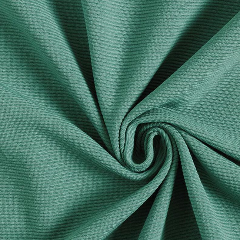 Jersey côtelé ottoman uni – roseau, image number 1