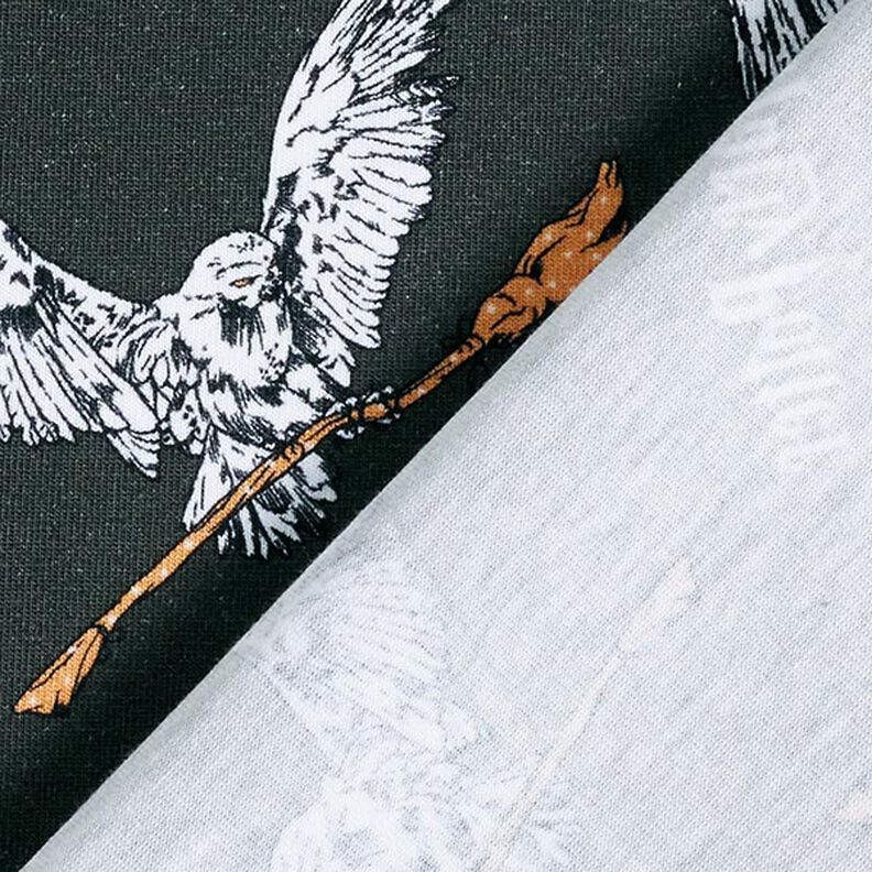 Jersey coton Tissu sous licence Harry Potter, Hedwige avec un balai | Warner Bros. – gris schiste,  image number 4