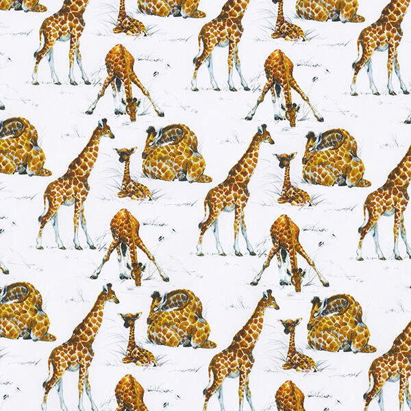 Popeline coton Impression numérique Impression aquarelle girafes | STENZO – blanc – Échantillon, image number 1