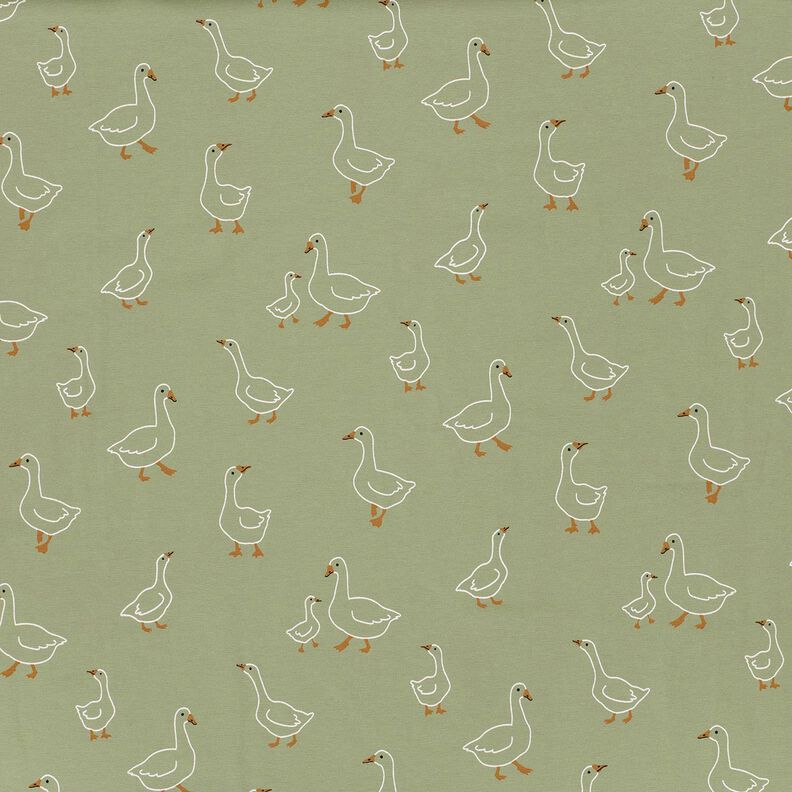 Jersey coton Famille d'oies – roseau,  image number 1