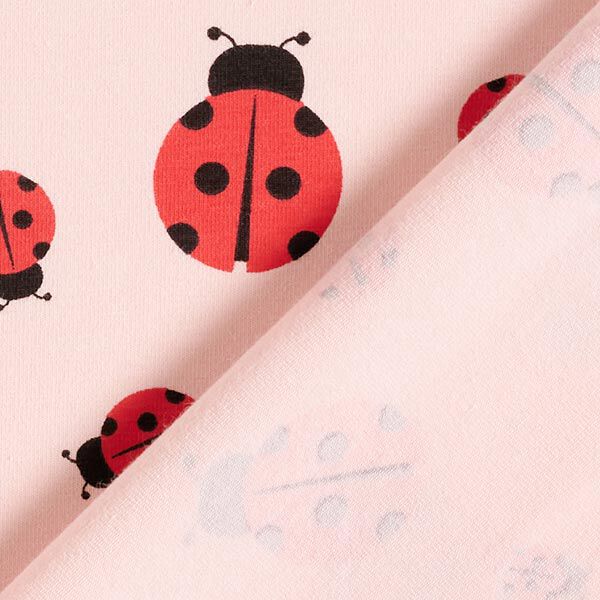 Jersey coton Coccinelles – rosé, image number 4