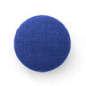 bleu roi