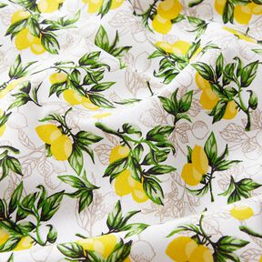 Tissu en coton Cretonne Branches de citronnier – blanc/jaune citron, 
