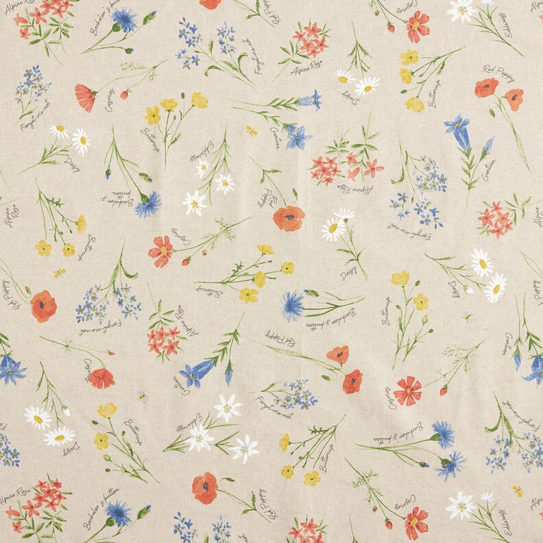 Coton enduit Fleurs alpines – nature/bleu,  image number 1