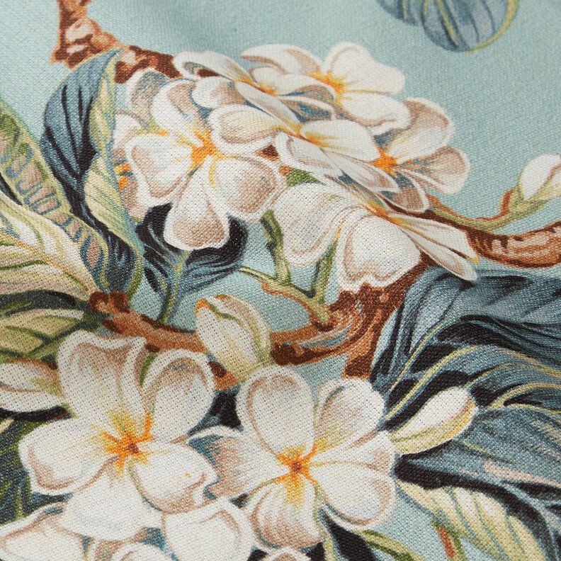 Tissu de décoration Canvas Arbre en fleurs – eucalyptus,  image number 2