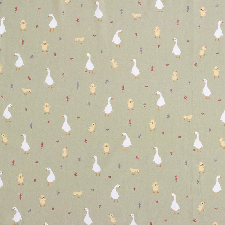 GOTS Popeline coton Oies et poussins mignons | Poppy Fabrics – greige,  image number 1