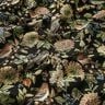 Tissu de décoration Gobelin Fleurs et oiseaux – noir/vert,  thumbnail number 2