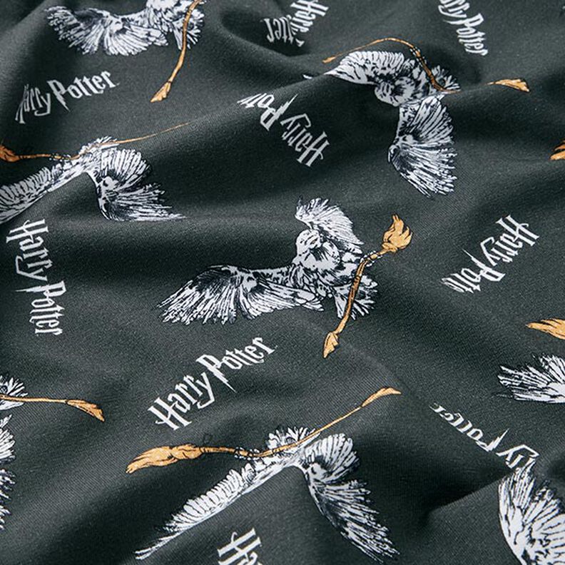 Jersey coton Tissu sous licence Harry Potter, Hedwige avec un balai | Warner Bros. – gris schiste,  image number 2