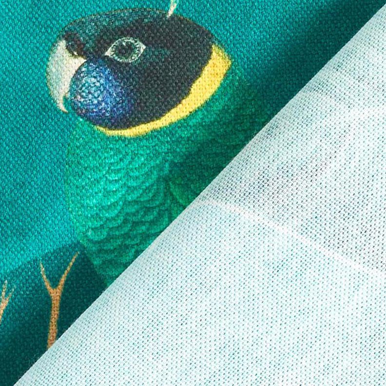 Tissu décoratif Toile Oiseaux du paradis – vert foncé,  image number 4