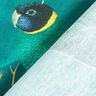 Tissu décoratif Toile Oiseaux du paradis – vert foncé,  thumbnail number 4