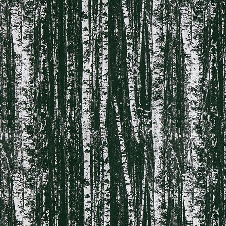 Tissu de décoration Semi-panama forêt de bouleaux – noir/blanc,  image number 1