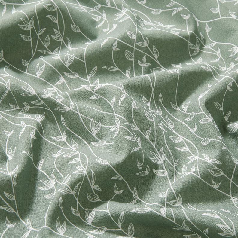 Popeline coton Vrilles de feuilles – roseau, image number 2