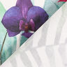 Tissu d’extérieur Canvas Fleurs exotiques – blanc/vert,  thumbnail number 4