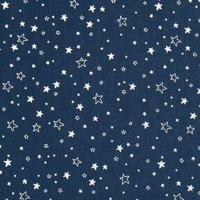 Tissu en coton Popeline Imprimé feuille Étoile de Noël – bleu nuit/argent métallisé, 