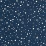 Tissu en coton Popeline Imprimé feuille Étoile de Noël – bleu nuit/argent métallisé,  thumbnail number 1