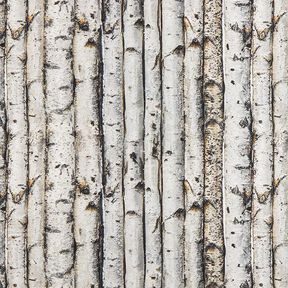 Tissu de décoration Semi-panama troncs de bouleaux – gris clair, 