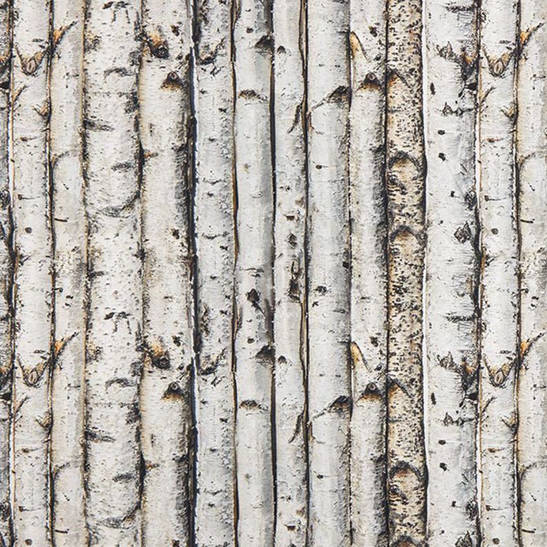 Tissu de décoration Semi-panama troncs de bouleaux – gris clair,  image number 1