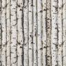 Tissu de décoration Semi-panama troncs de bouleaux – gris clair,  thumbnail number 1