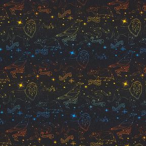 Jersey coton Tissu sous licence Emblèmes constellations Harry Potter | Warner Bros. – noir, 