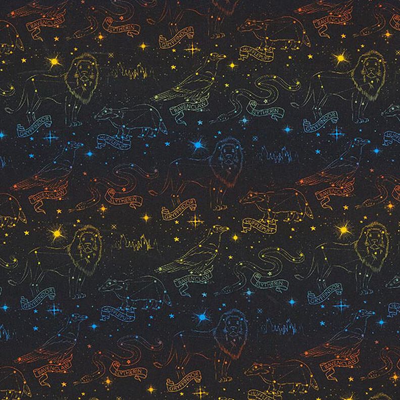 Jersey coton Tissu sous licence Emblèmes constellations Harry Potter | Warner Bros. – noir,  image number 1