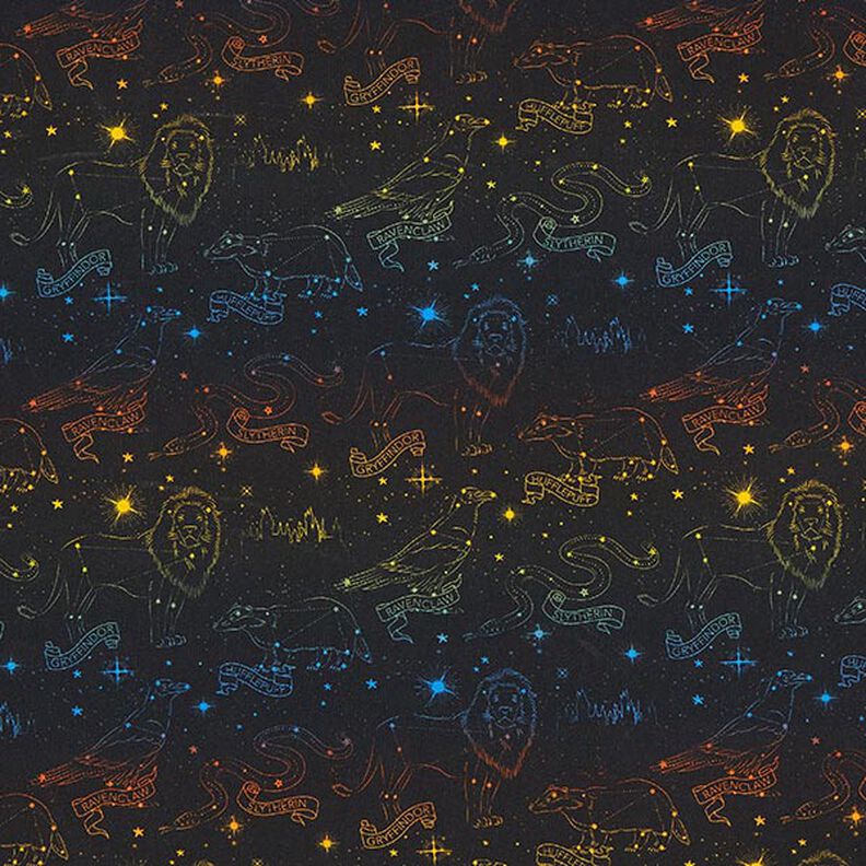 Jersey coton Tissu sous licence Emblèmes constellations Harry Potter  | Warner Bros. – noir,  image number 1