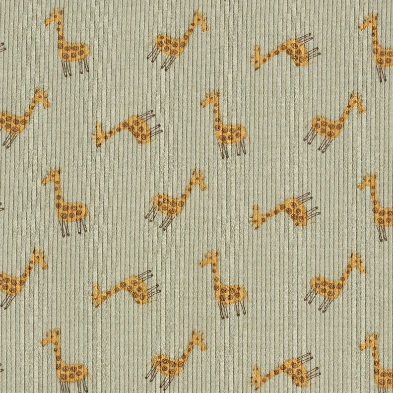 Jersey côtelé Jolies girafes – kaki,  image number 1