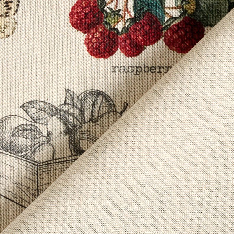 Tissu de décoration Semi-panama Types de fruits – nature/vert foncé,  image number 4