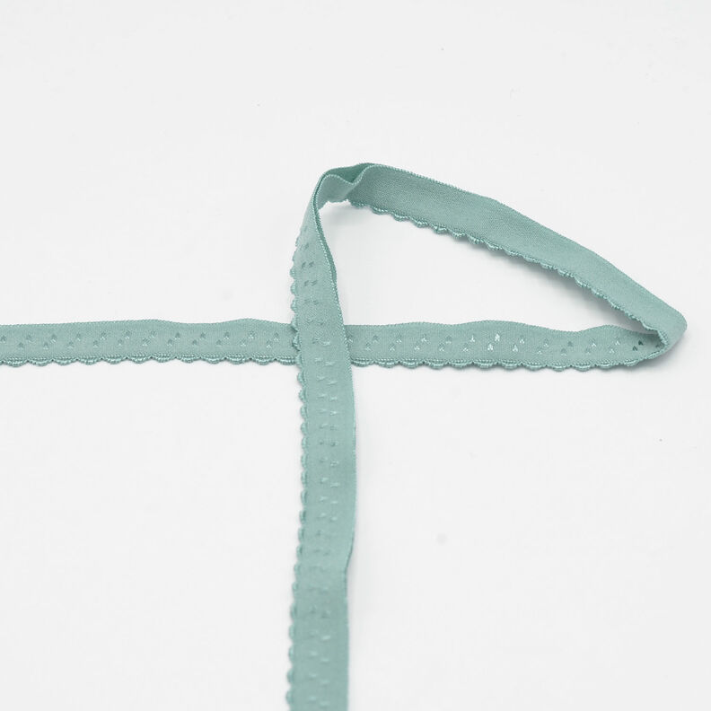 Biais élastique dentelle [20 mm] – roseau,  image number 1